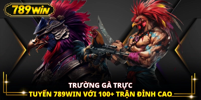 Trường gà trực tuyến 789WIN với 100+ trận đỉnh cao